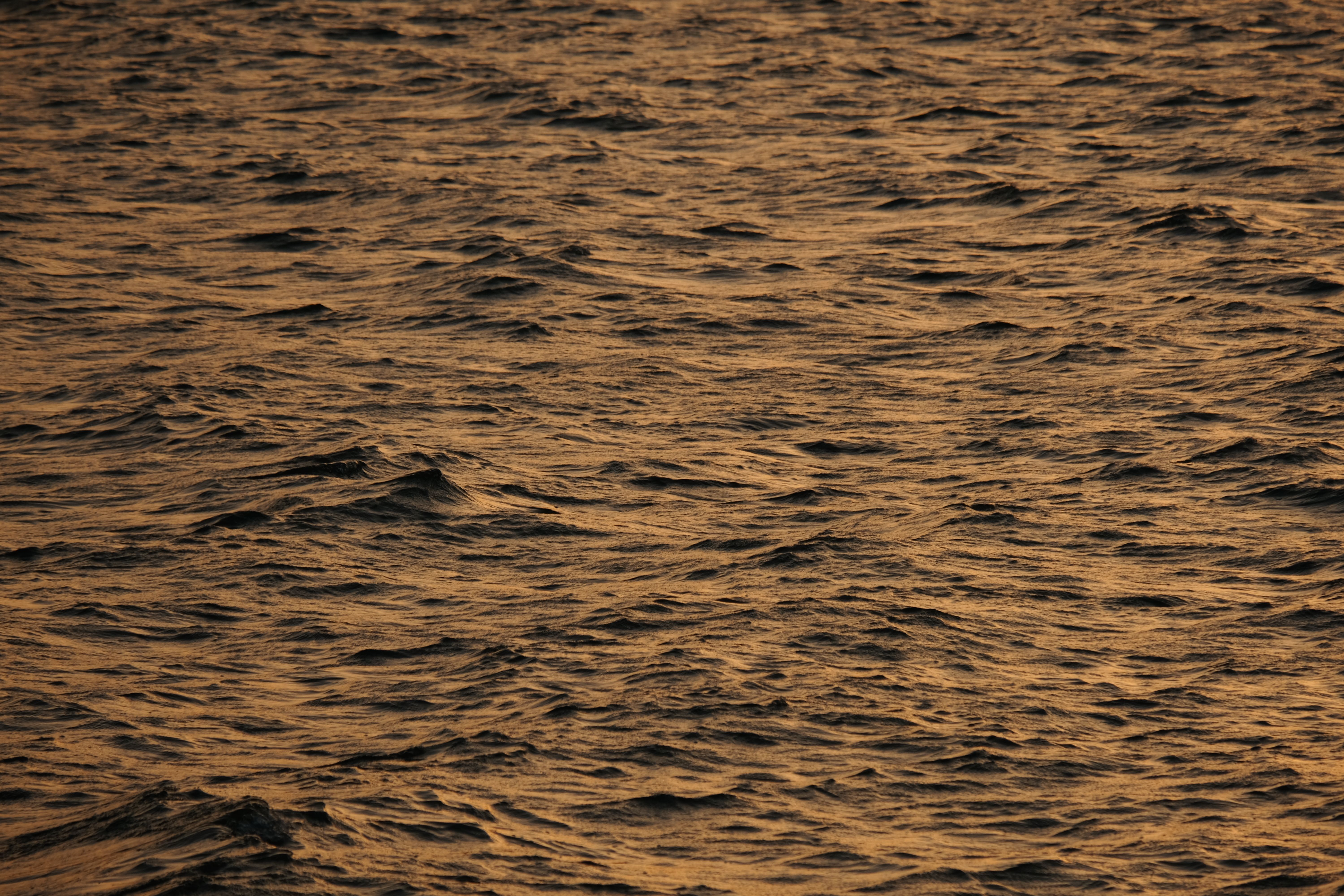 Ripples in Sea · Free Stock Photo