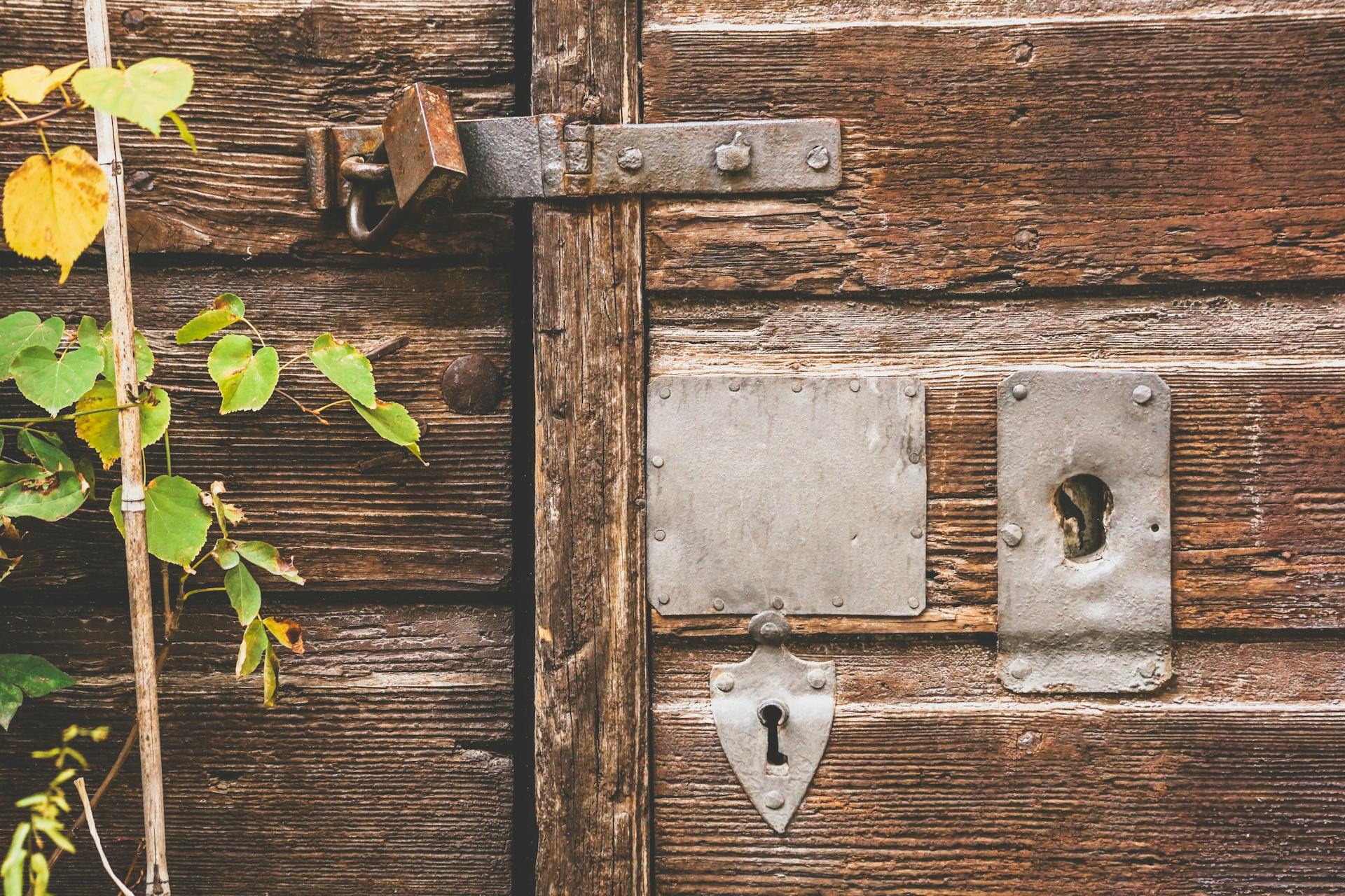 A close-up of a rustic wooden door with metal locks and greenery.