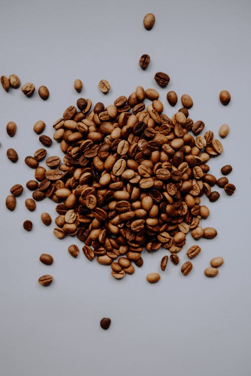カフェイン, コーヒー, コーヒー豆の無料の写真素材