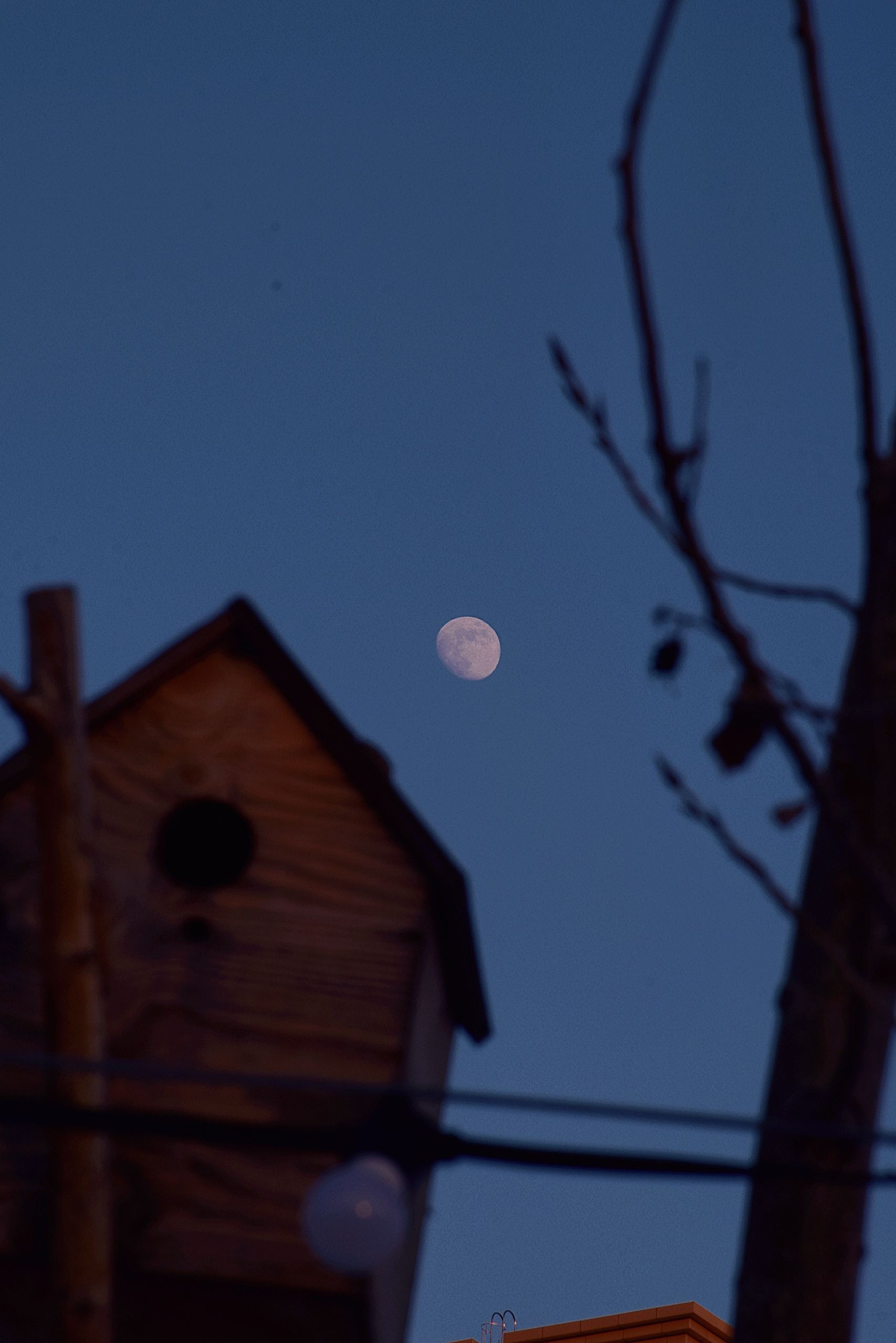 A wooden birdhouse silhouetted against a clear evening sky with the moon visible.