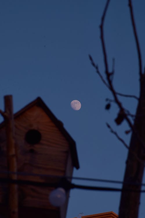 Fotos de stock gratuitas de cielo limpio, foto de ángulo bajo, Luna