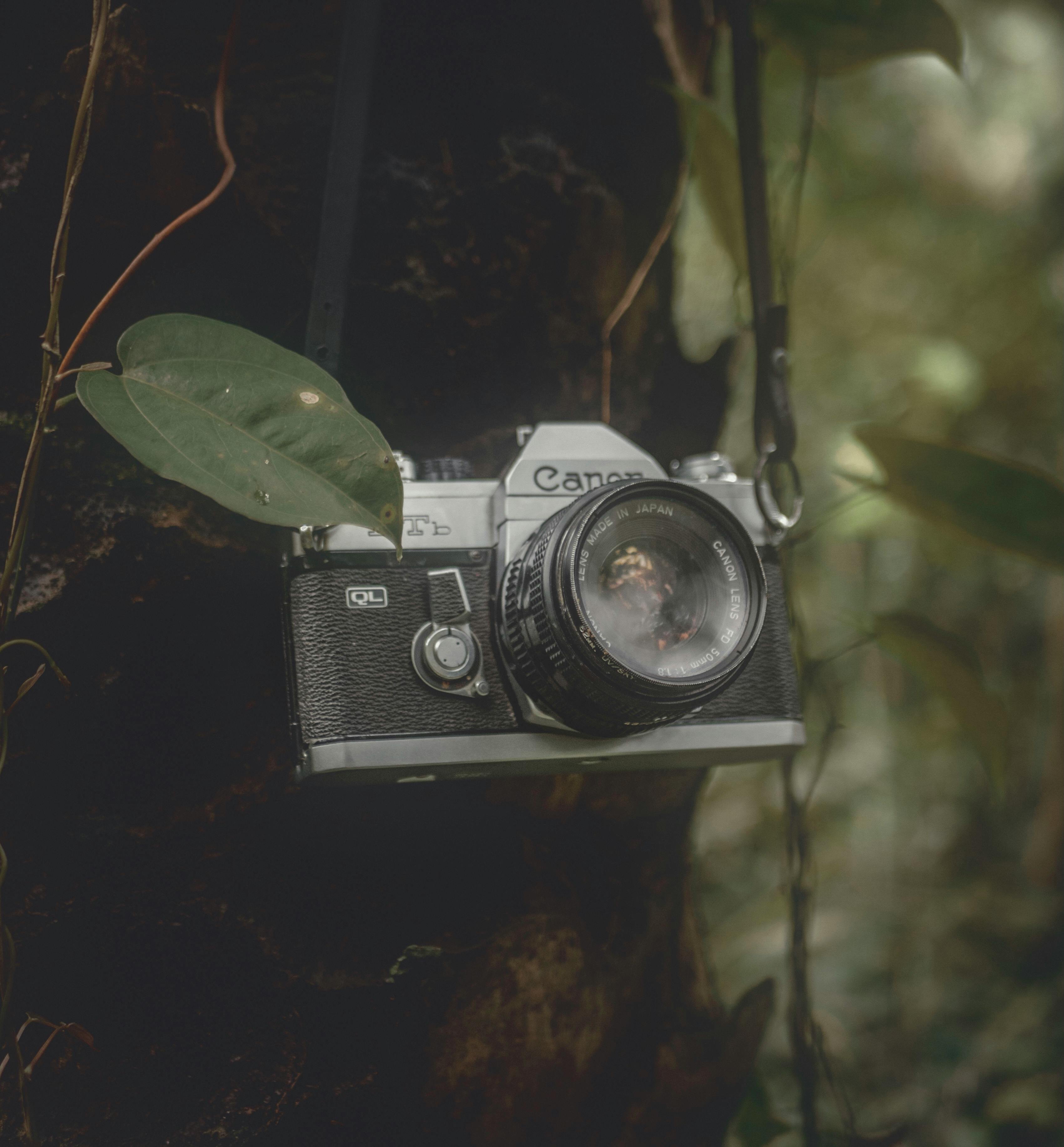 Close-up of a vintage camera hanging among lush green leaves, creating a nostalgic feel.