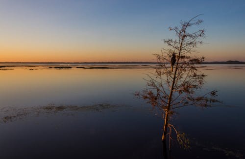 Lake Toho During Sunrise Florida