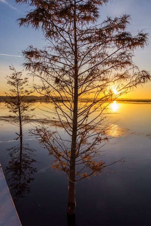 Sunrise at lake Tohopekaliga Florida