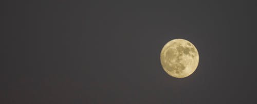 Darmowe zdjęcie z galerii z biały księżyc, księżyc, noc