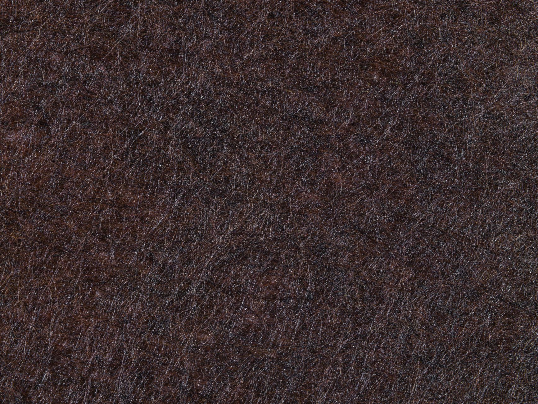 Nahaufnahme auf schwarzem Hintergrund – OLED Motiv (von Engin Akyurt, 8944×6708, #16659340)