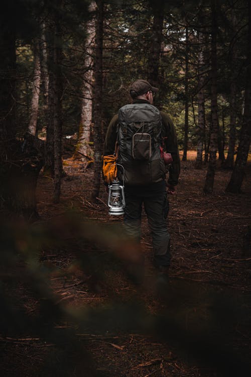 Backpacker Hiking in a Forest 