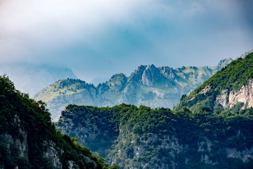 Foto d'estoc gratuïta de a l'aire lliure, alt, amb boira