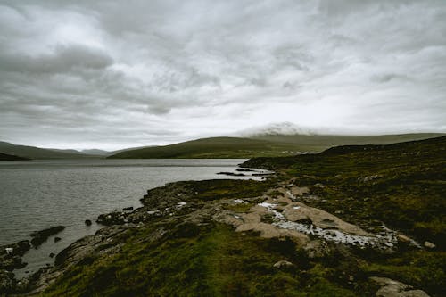 Gratis arkivbilde med dronebilde, grønn, innsjø