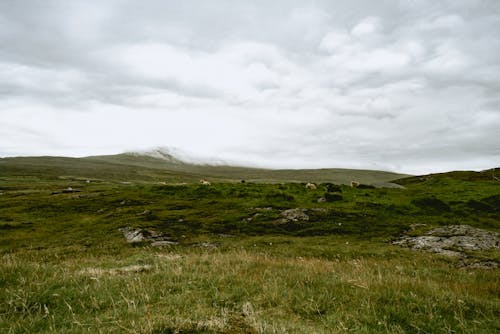 Základová fotografie zdarma na téma hřiště, kopce, krajina