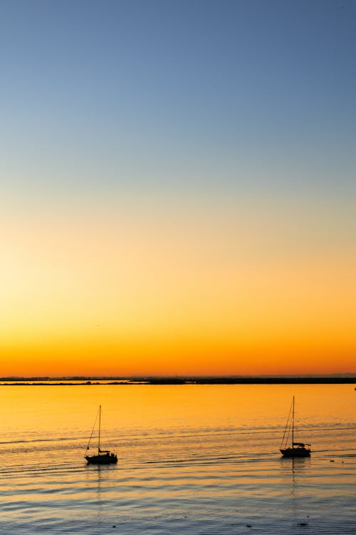 Sailboats on the Water at Sunset 