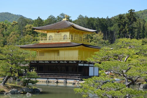 Forest around Kinkaku