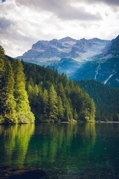 Peaceful alpine landscape featuring a serene lake with mountain and forest reflections.