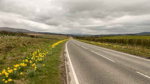 Free Asphalt Road between Fields under a Clear Sky  Stock Photo