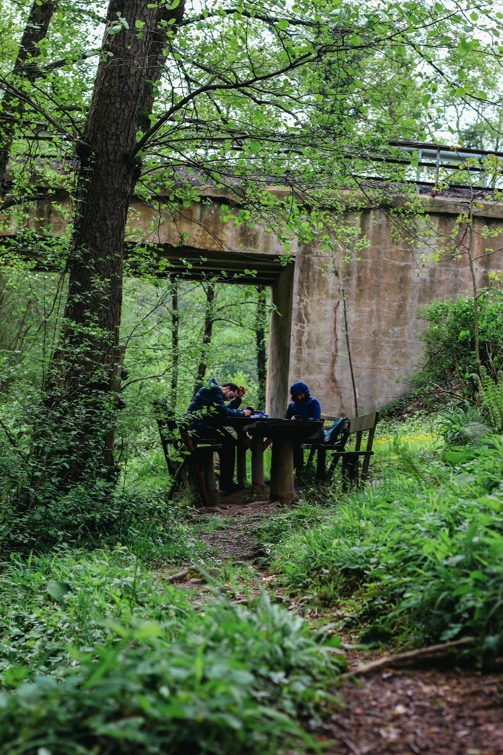 Nudists Camps Photos, Download The BEST Free Nudists Camps Stock Photos