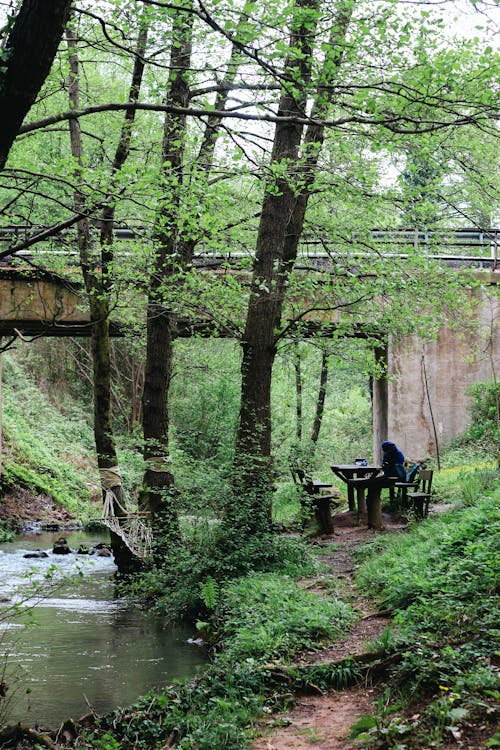 A Table with Benches and a Hammock by the River in a Forest 