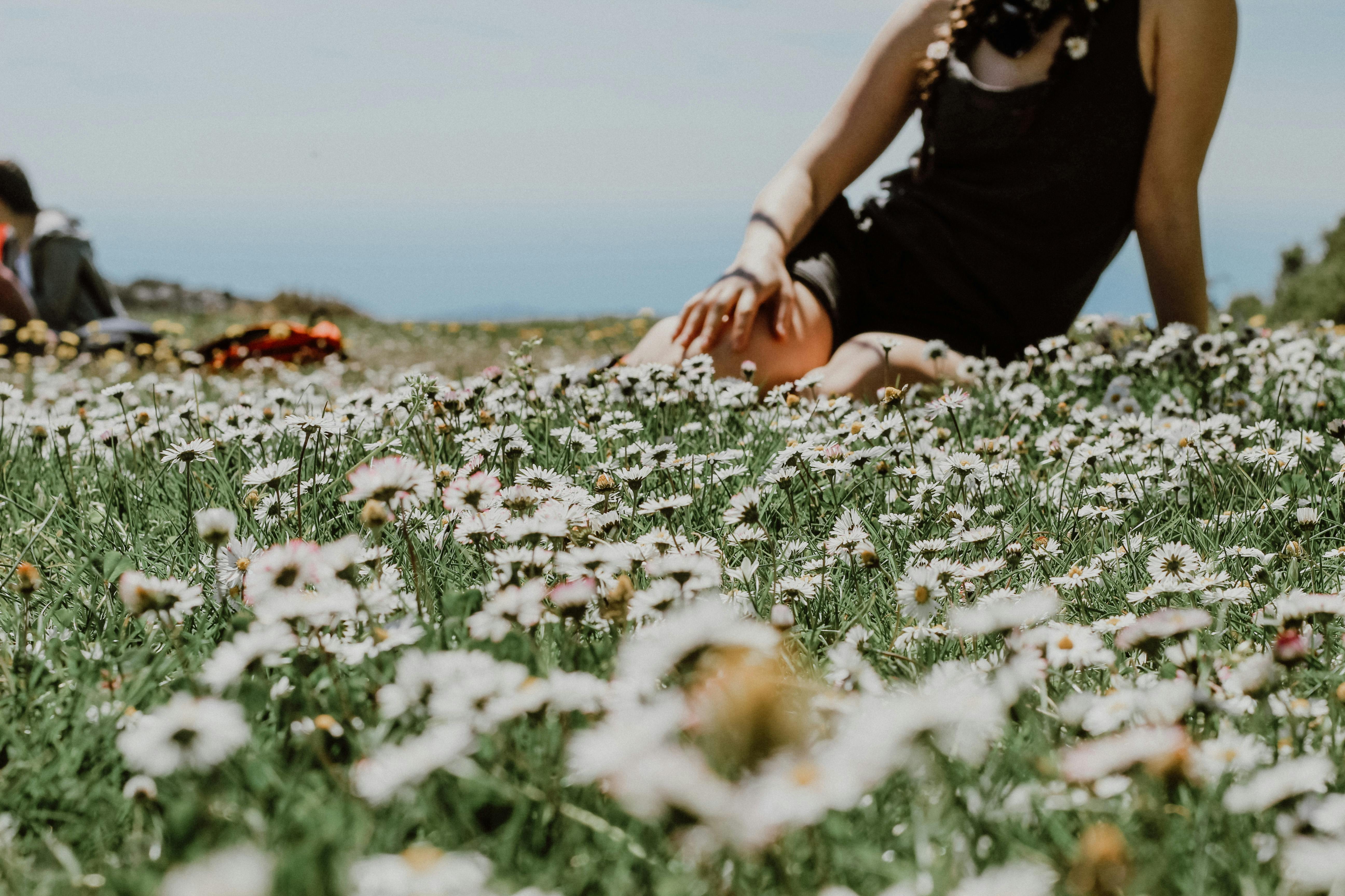 woman sitting on field with flowers 