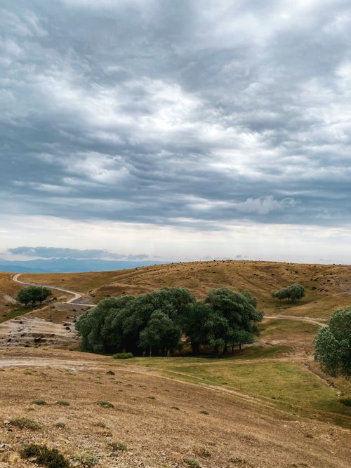 Free Scenic view of rolling hills under a dramatic overcast sky with lush green trees. Stock Photo