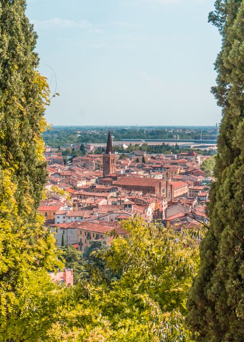 Free A stunning view of Verona's medieval architecture framed by lush trees, perfect for travel and architecture enthusiasts. Stock Photo