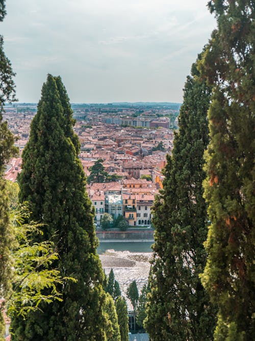 Základová fotografie zdarma na téma aan lichtbak toevoegen, adige, cestování