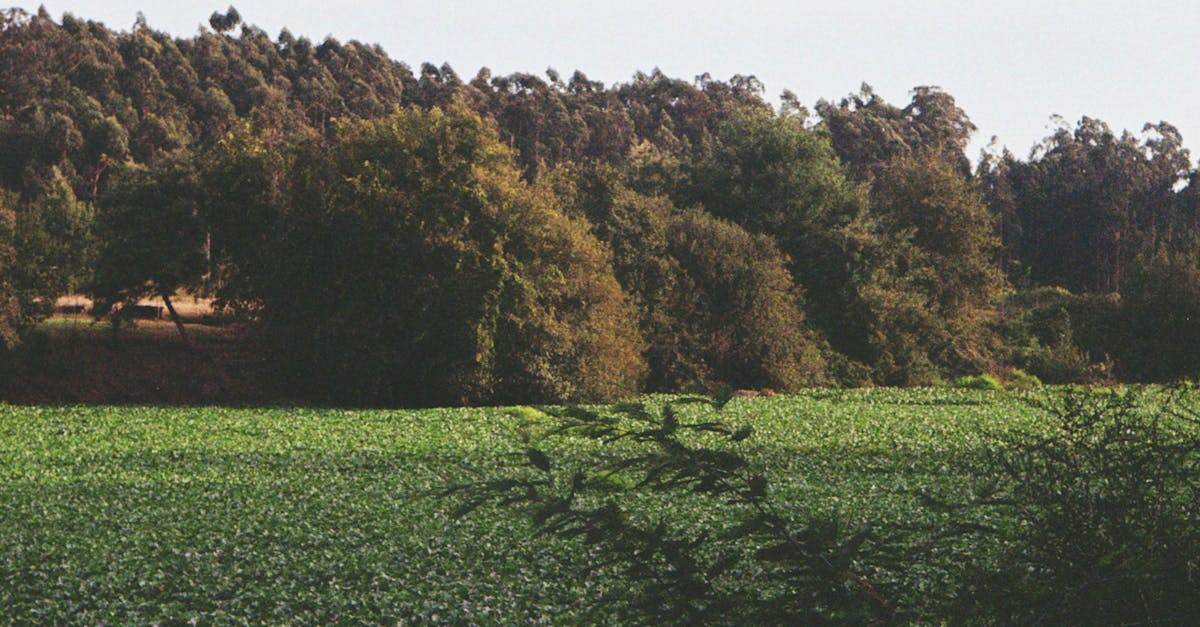 🎥 彩券公益新形象!《善良一點一點》首映!