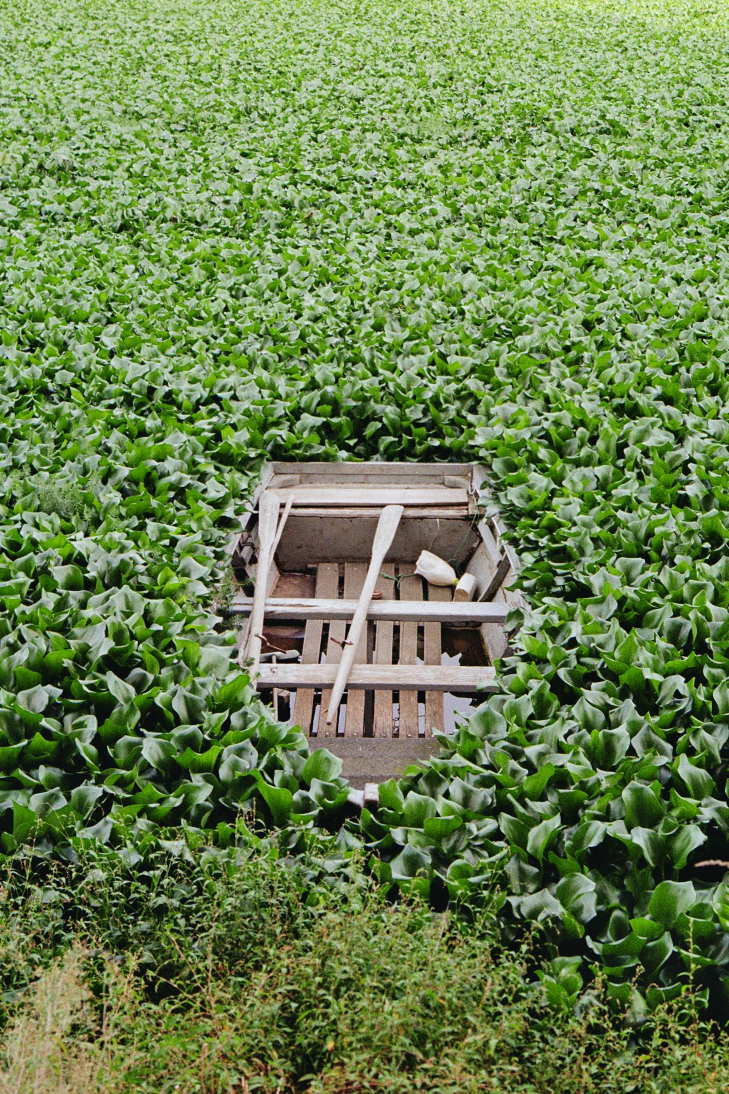 De franc Foto d'estoc gratuïta de 35 mm, a l'aire lliure, abandonat Foto d'estoc
