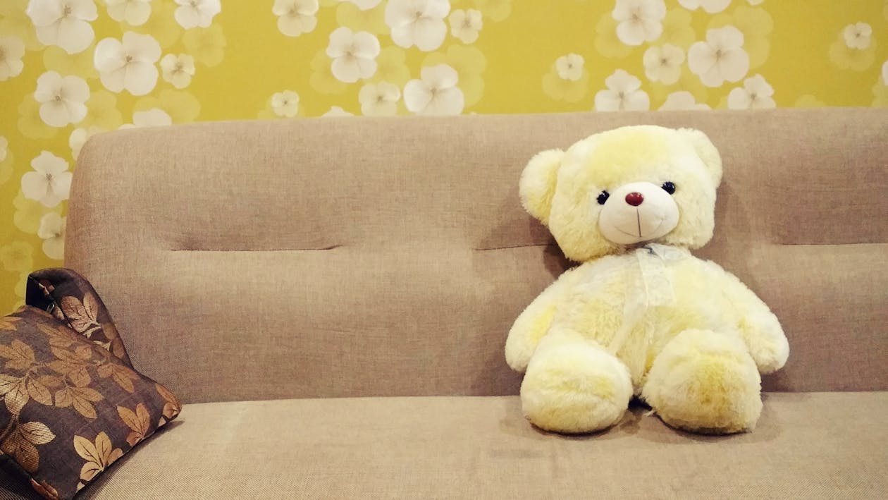 Free Teddy Bear on Sofa Stock Photo