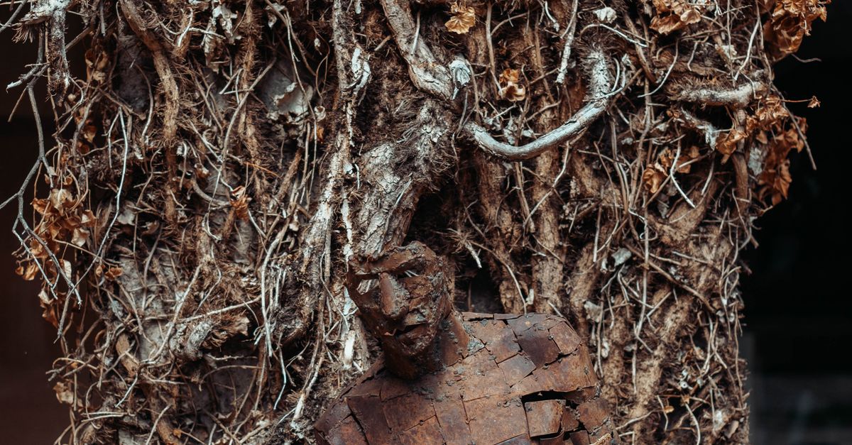 Rusting Figure Rusty Metal Figure Leaning on Twisted Branches · Free Stock Photo