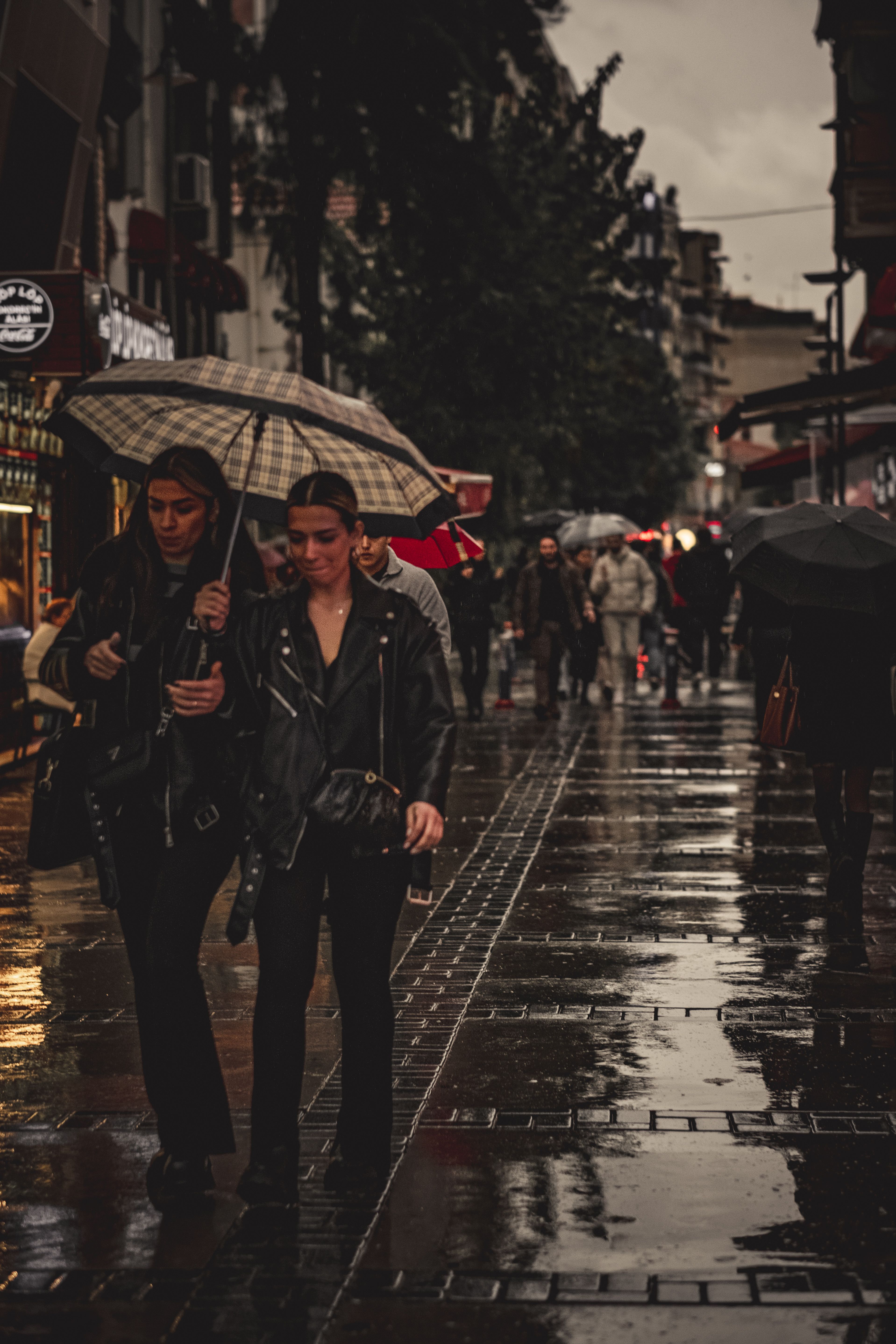 Women Walking with Umbrella on Wet Street in Rain · Free Stock Photo