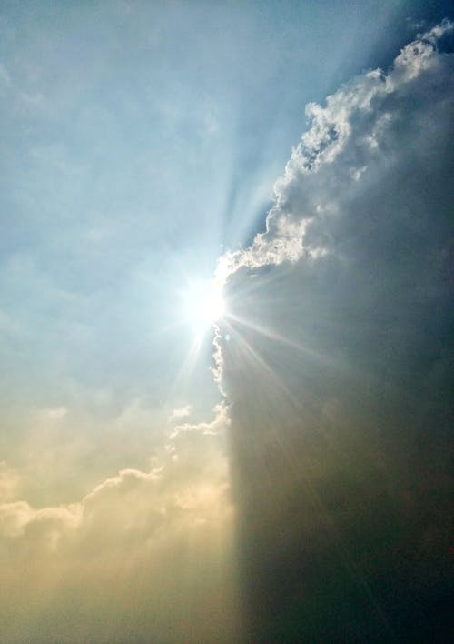 Free stock photo of golden sun, sun black and yellow, sun flare