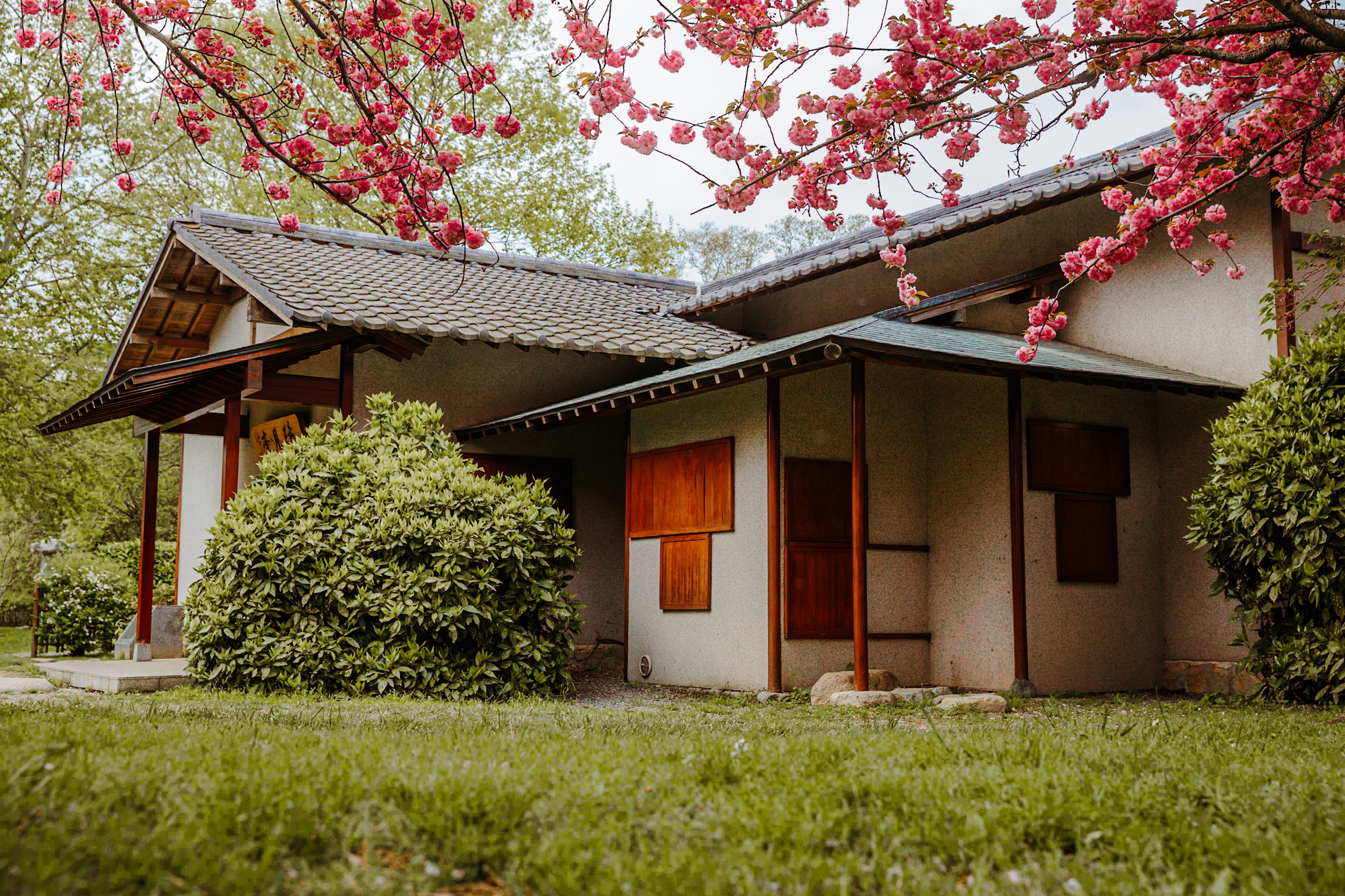 Photo of a House · Free Stock Photo