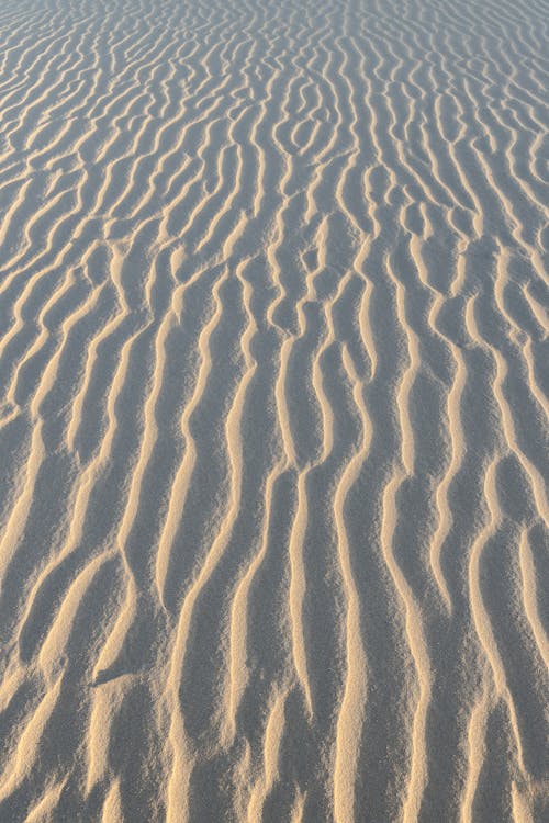 Sand on Desert