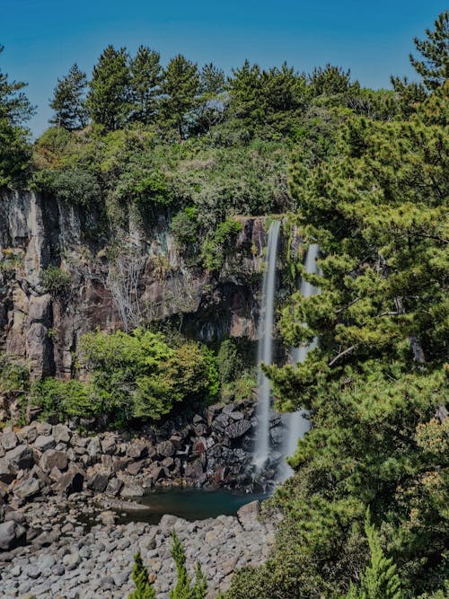 Waterfall in Forest