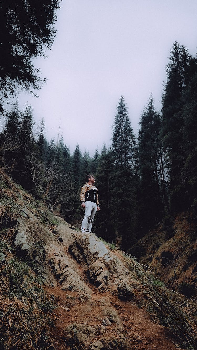 Man Standing On Rock In Mountains 