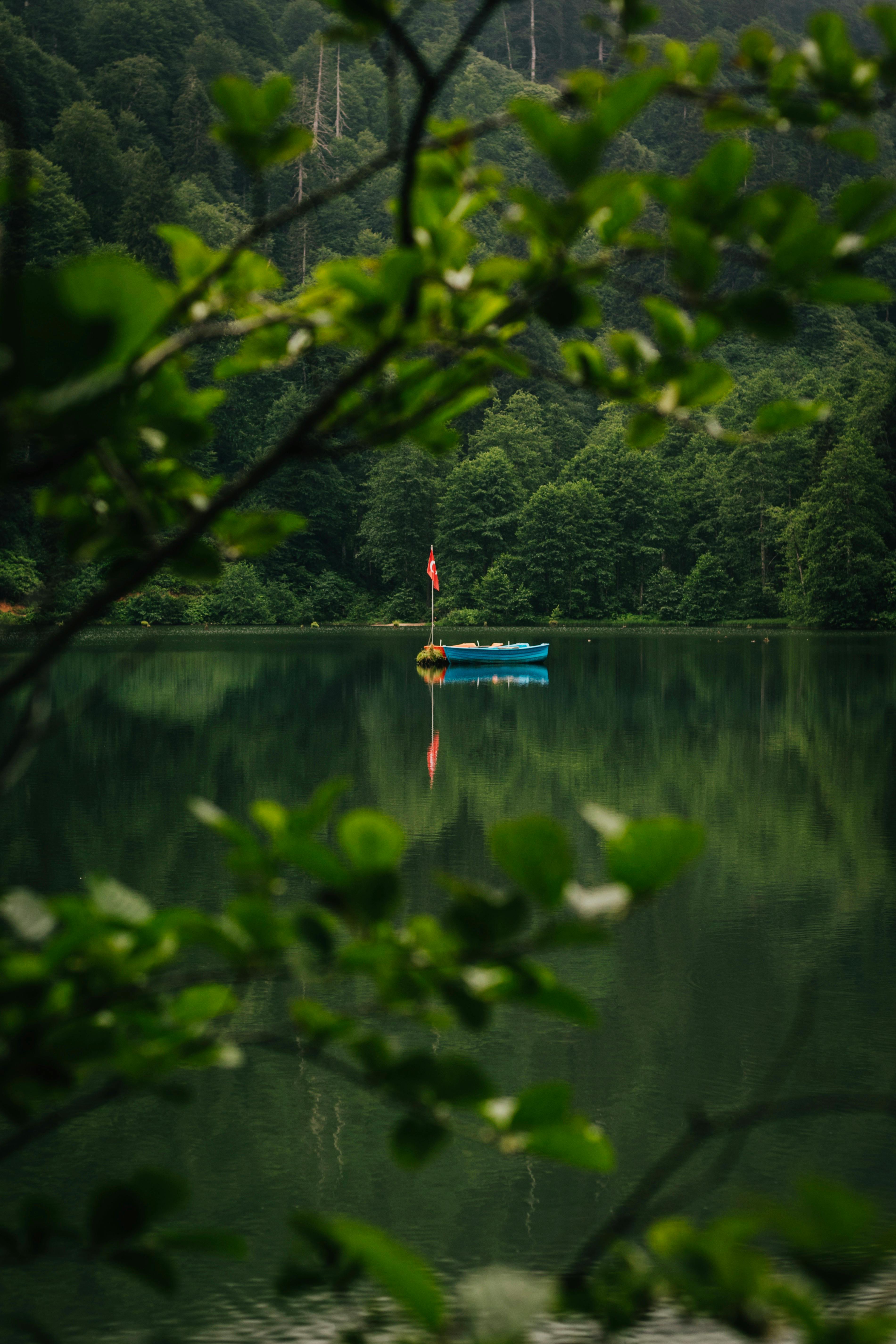 Tranquil scene of a kayak floating on a calm lake surrounded by dense forest.
