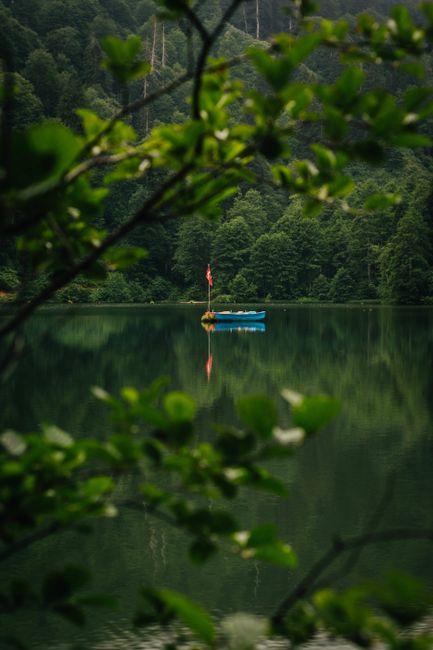 Tranquil scene of a kayak floating on a calm lake surrounded by dense forest.