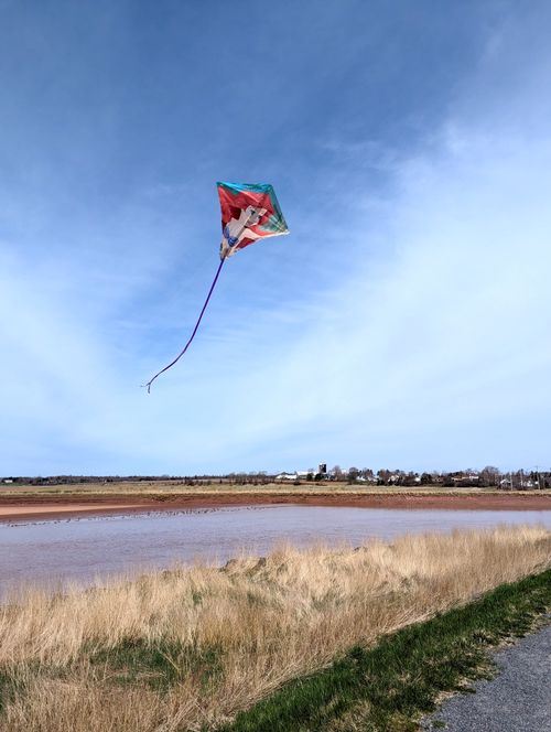 Free A vibrant kite soaring over a grassy field in Truro, NS, Canada, against a clear blue sky. Stock Photo