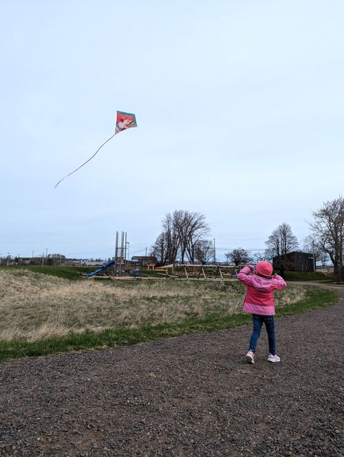 Free A young girl in a pink jacket flies a kite in a rural park during daytime. Stock Photo