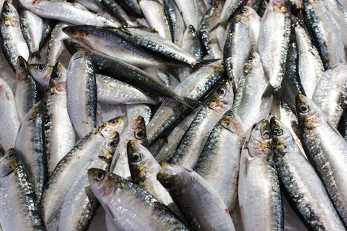 Fishes on a Market 