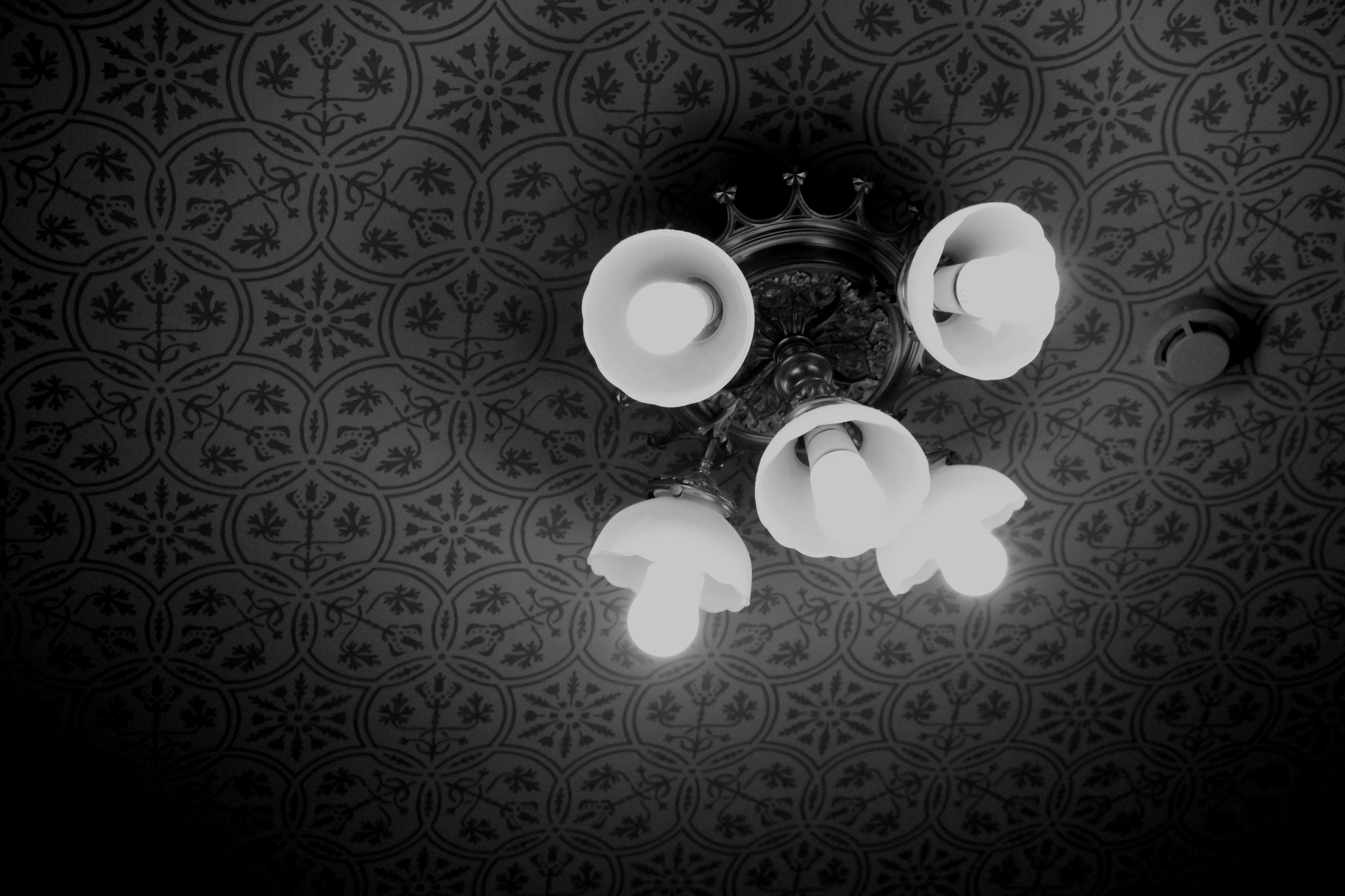 Free Stock Photo Of 700D Architectural Design B w