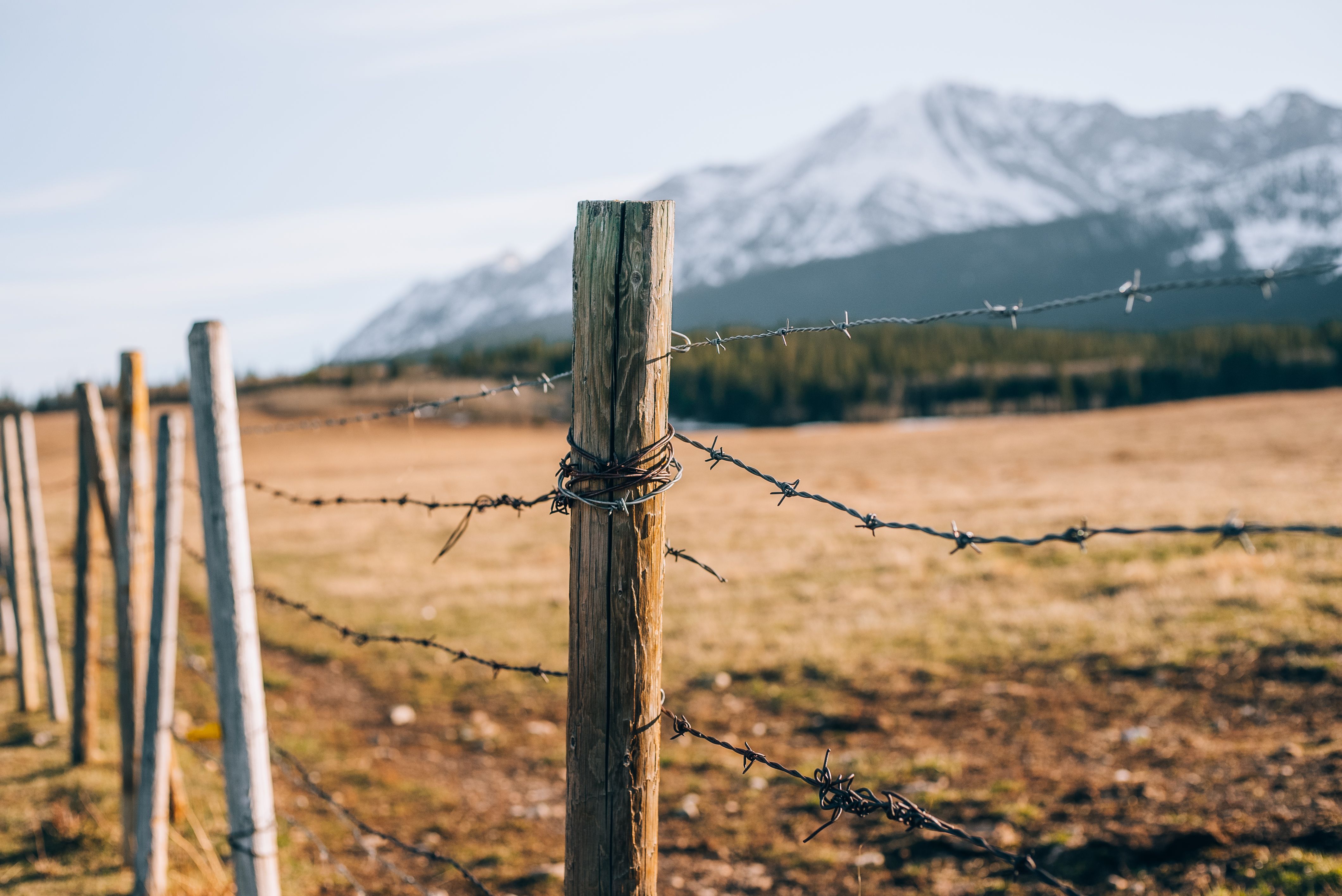 Josh Hild/Pexels