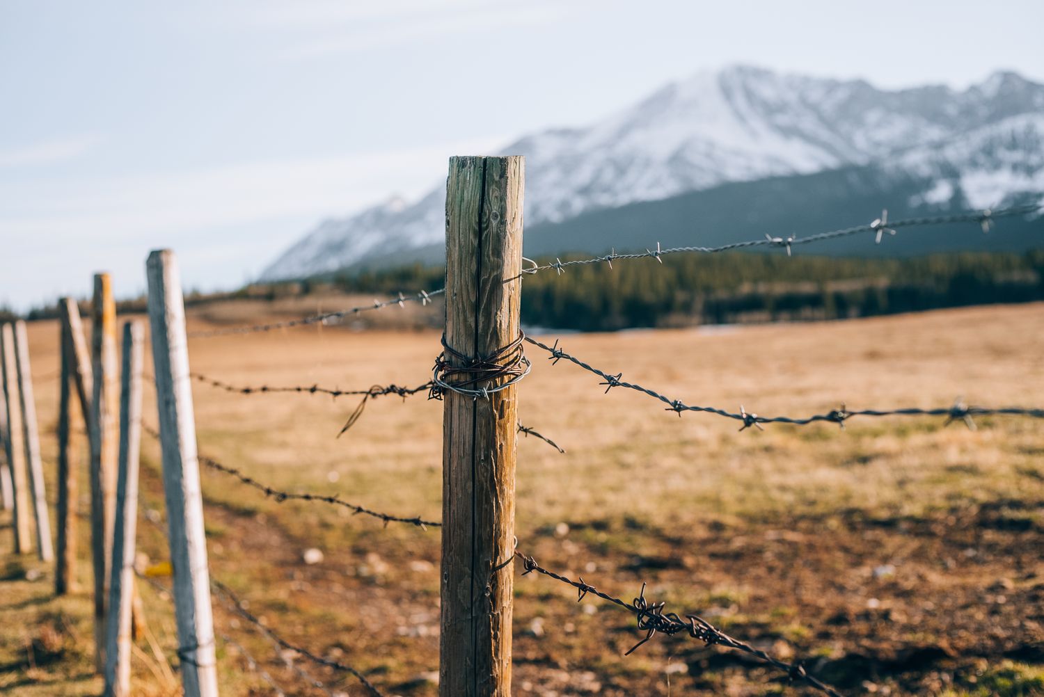 Barb wire fence installation