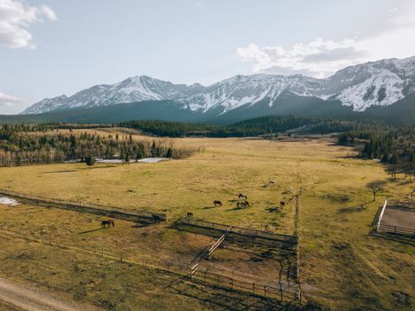 A tranquil view of horses grazing in a pasture with majestic mountain backdrop.