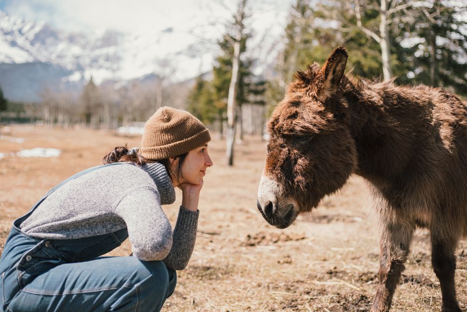A woman in a beanie hat connects with a donkey in a scenic rural landscape.