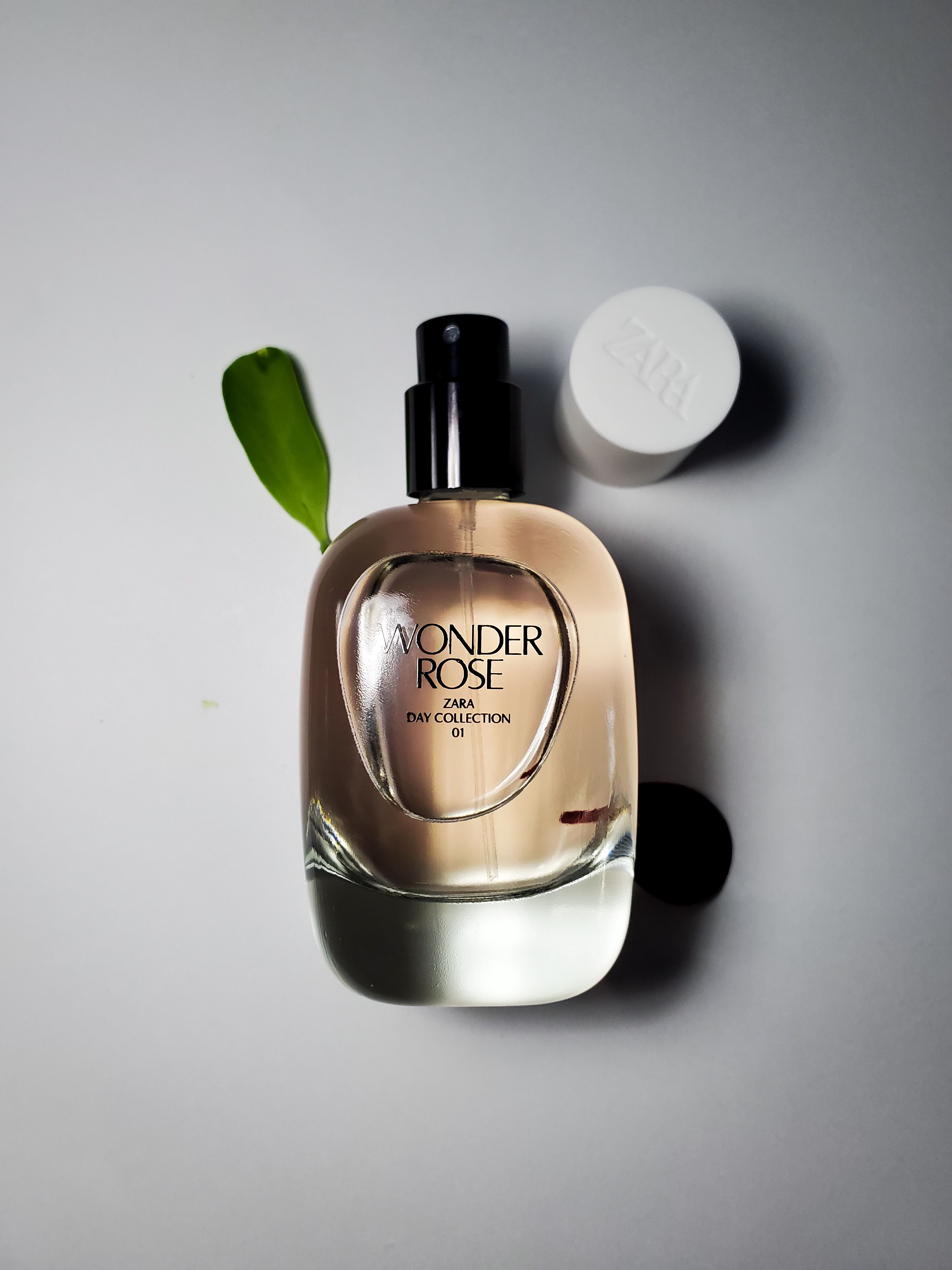 Unlocking Hydration: A​ Deep Dive⁤ into [Brand]'s Moisturizing Formula