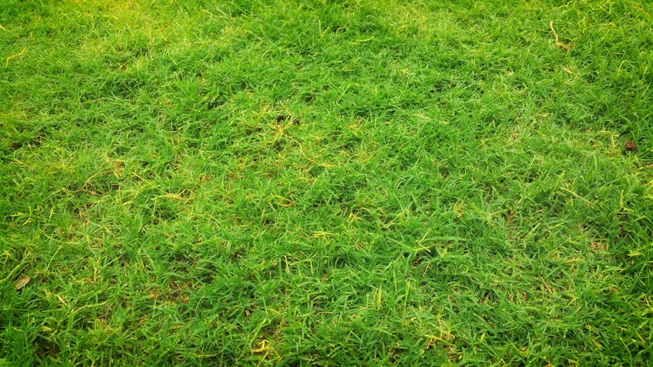 Green Grass