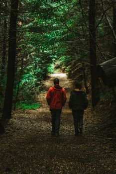 A couple walking along a green forest pathway in Bariloche, Argentina.