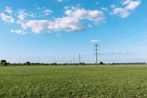 Utility Poles on Rural Field