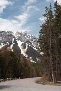 A winding road through tall trees with snowcapped mountains in Banff, Canada.