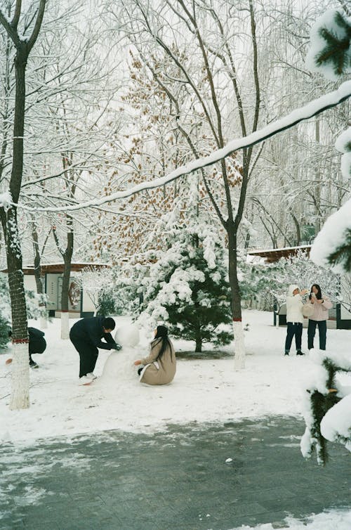 Couple Making a Snowman in the Park 